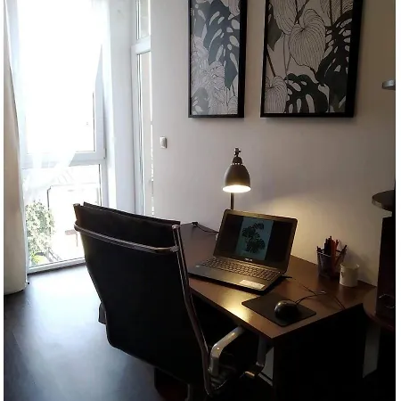 Sunny Penthouse With Roof Gardens Overlooking The Warsaw Palace Of Culture 公寓 普鲁什库夫