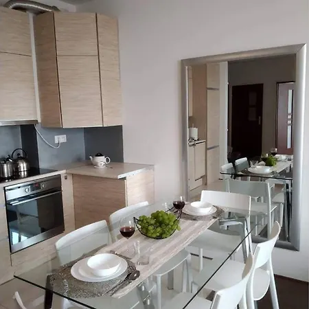 Sunny Penthouse With Roof Gardens Overlooking The Warsaw Palace Of Culture * Pruszkow