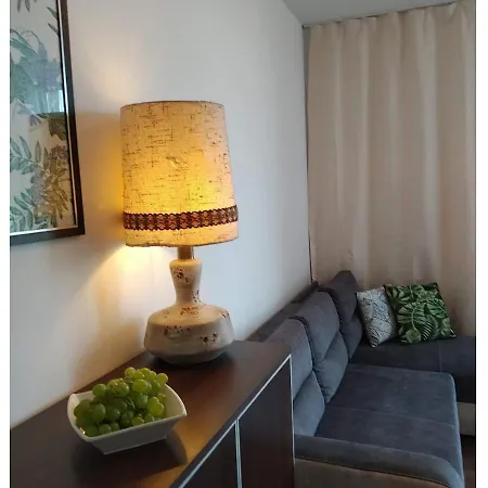 Sunny Penthouse With Roof Gardens Overlooking The Warsaw Palace Of Culture *